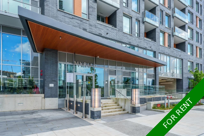 Burquitlam Condo for rent: Myraid 1 bedroom 475 sq.ft.