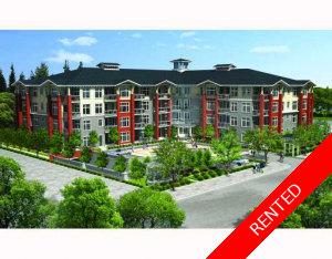 Pitt Meadows Condo for rent: 1 bedroom 630 sq.ft.