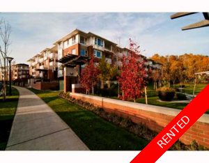 Brentwood Condo for rent: Collage 2 bedroom Property managers Burnaby