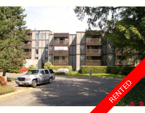 Whalley Condo for rent: 1 bedroom 800 sq.ft. (Listed 2010-10-01)