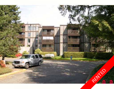Whalley Condo for rent: 1 bedroom 800 sq.ft. (Listed 2010-10-01)