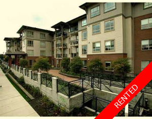 Central Port Coquitlam Condo for rent: The Maples 1 bedroom 610 sq.ft.