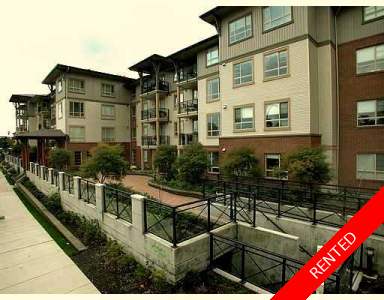 Central Port Coquitlam Condo for rent: The Maples 1 bedroom 610 sq.ft.