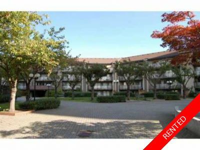 Brentwood Condo for rent: Brentwood Gardens Rental Property Management Burnaby