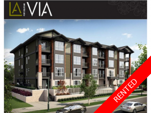 Port Coquitlam Condo for rent: 2 bedroom 875 sq.ft. (Listed 2018-04-01)