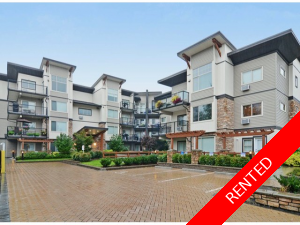 Maple Ridge Condo for rent: Property Management Company