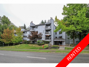 Property management services Guildford Condo for rent