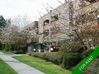 Point Grey Apartment for rent: Vancouver Property Management Company