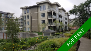 Willoughby Heights Condo for rent: Property Management Company
