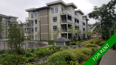 Willoughby Heights Condo for rent: Property Management Company