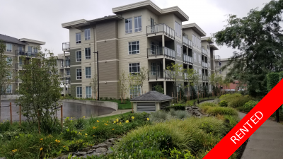 Willoughby Heights Condo for rent: Property Management Company