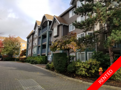 Coquitlam Condo for rent: Lakeside Terrace 1 bedroom 700 sq.ft. Property Mangers Coquitlam