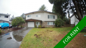 Port Coquitlam BASEMENT SUITE for rent: 2 bedroom 880 sq.ft. (Listed 2026-01-01)