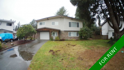 Port Coquitlam BASEMENT SUITE for rent: 2 bedroom 880 sq.ft. (Listed 2026-01-01)